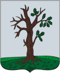Герб Стародуба Брянская область