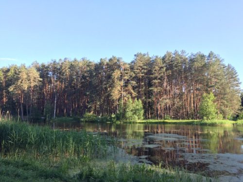 озеро в парке Унеча