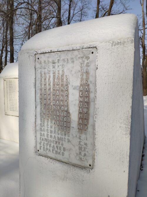 Военный памятник ВОВ Замишево.