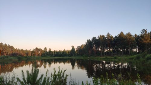 клинцовский район частные озера