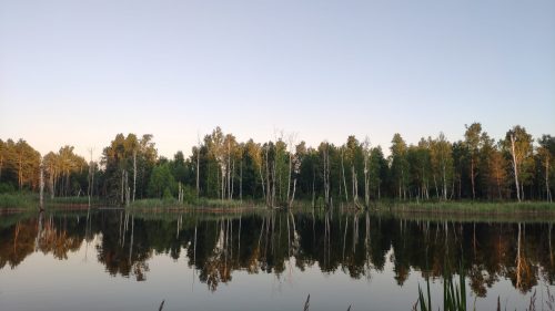 Клинцы озеро за дачами у реки Унеча