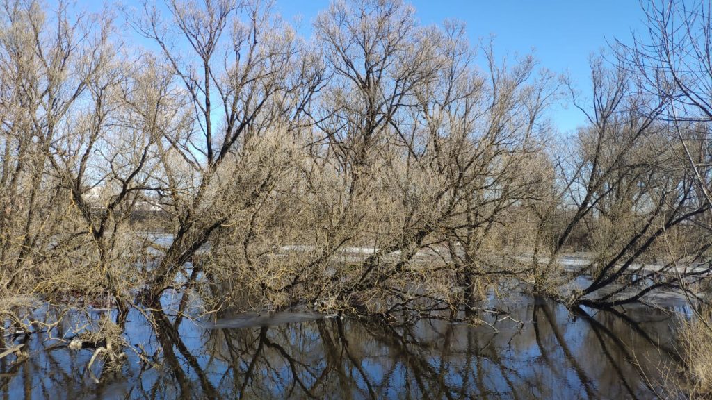Сураж Водопад река Ипуть