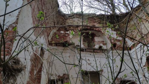 Руины храма Великий Бор Гордеевский район фото 2022 года