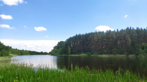 красивое озеро в Гордеевке