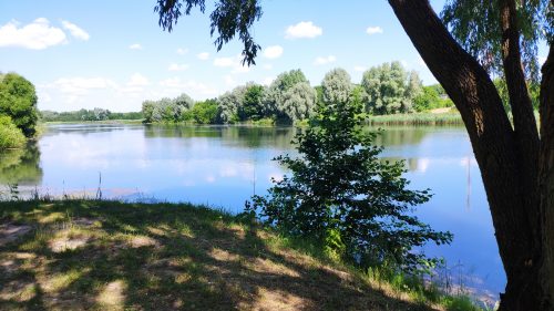 Озеро на реке Медвёдово