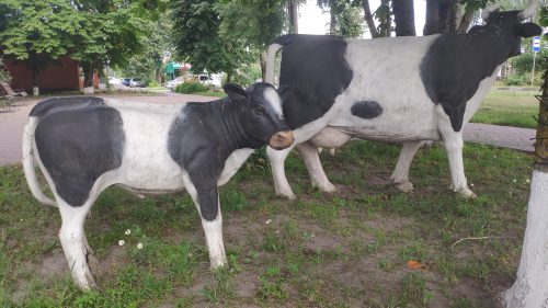 скульптура коровы Стародуб