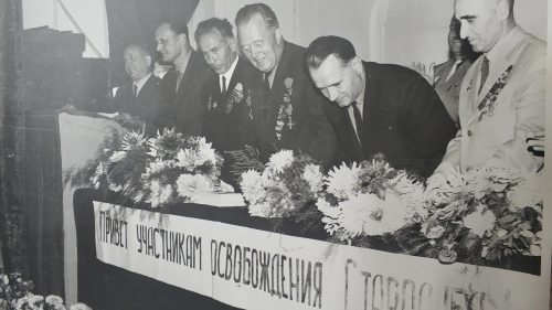 Каштаны посаженные освободителями города Стародуб в 1975 году