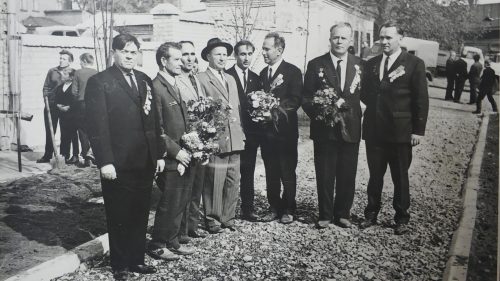 Каштаны посаженные освободителями города Стародуб в 1975 году