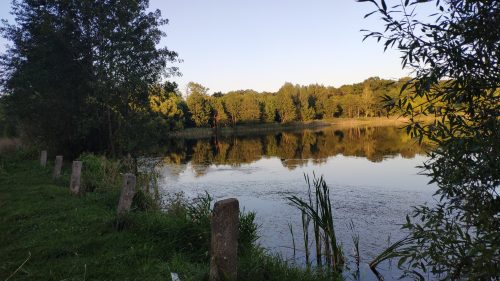 Озеро Вьюнка Клинцовский район