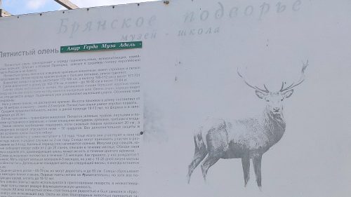 Белогорщь зоопарк брянское подворье валенки музей