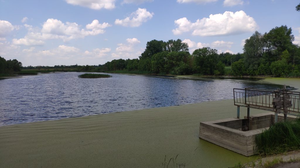 Озеро на реке Вир вид с дамбы