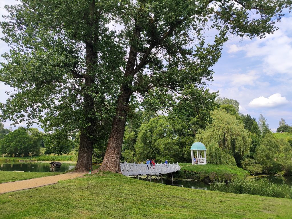 мост в парке с деревьями