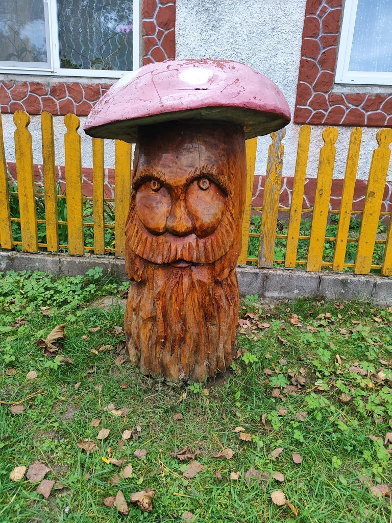 Сказка Кошовка фото избушка деревянная фигура гриб 3