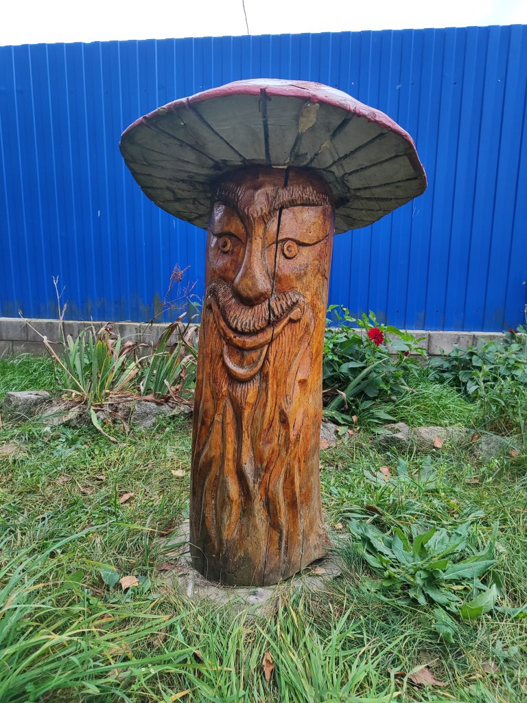 Сказка Кошовка фото избушка деревянная фигура гриб 1