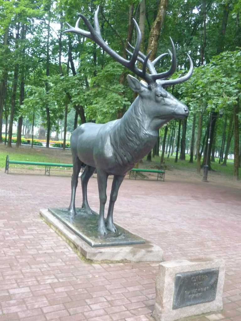 Немецкий олень в парке Смоленска