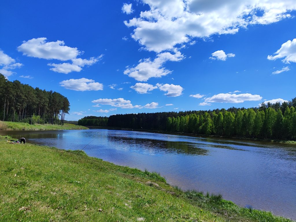 Река вепринка посёлок Калинин рыбное хозяйство фото 3