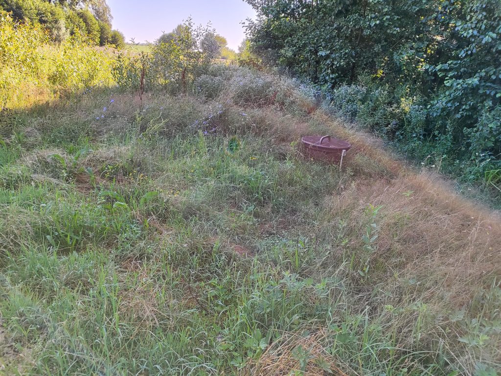 родник у дороги Медвёдово 2