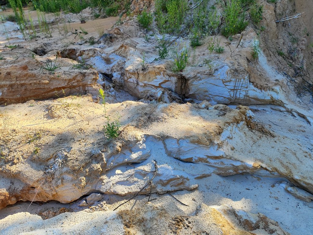 Медвёдово карьер Клинцовский район фото 14