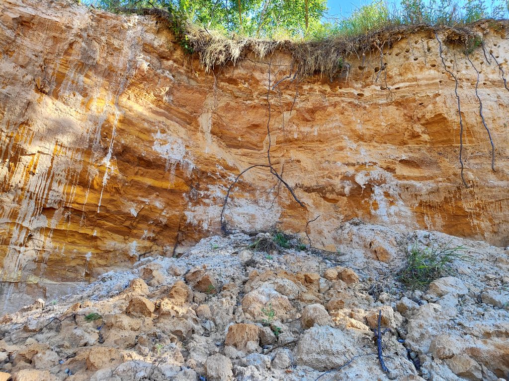 Медвёдово карьер Клинцовский район фото 2