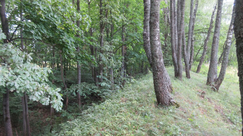 Городище Заруб Брянская область