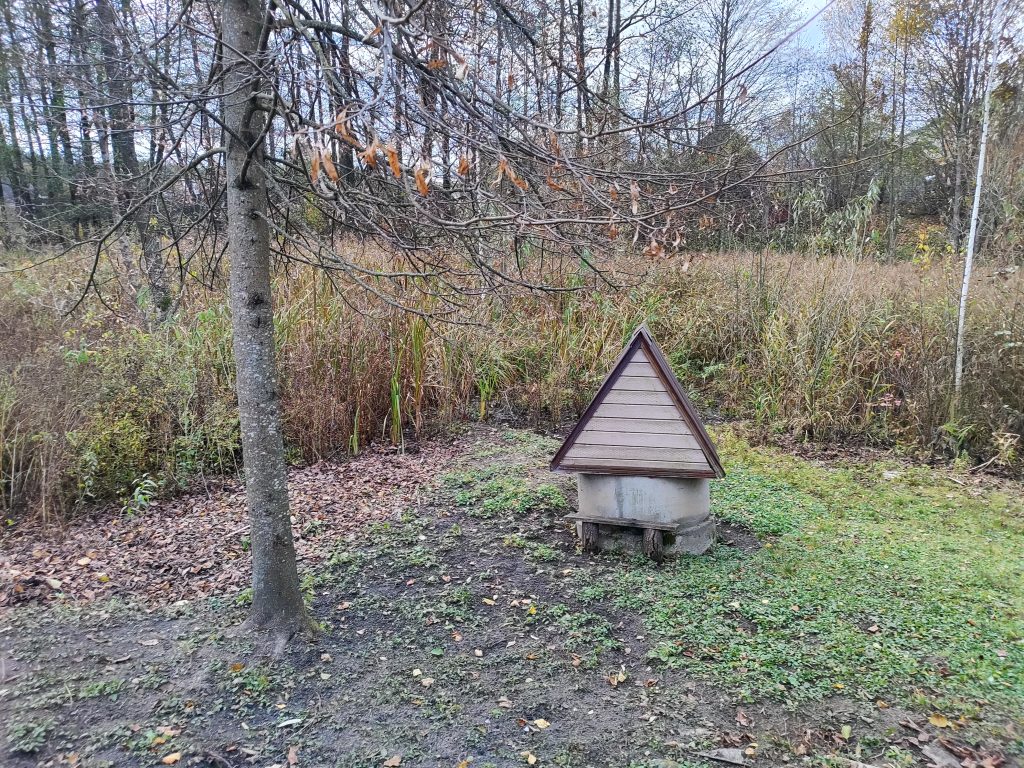 родник не далеко от кольца 2