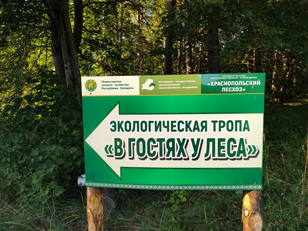 Экологическая тропа в гостях у Леса 13