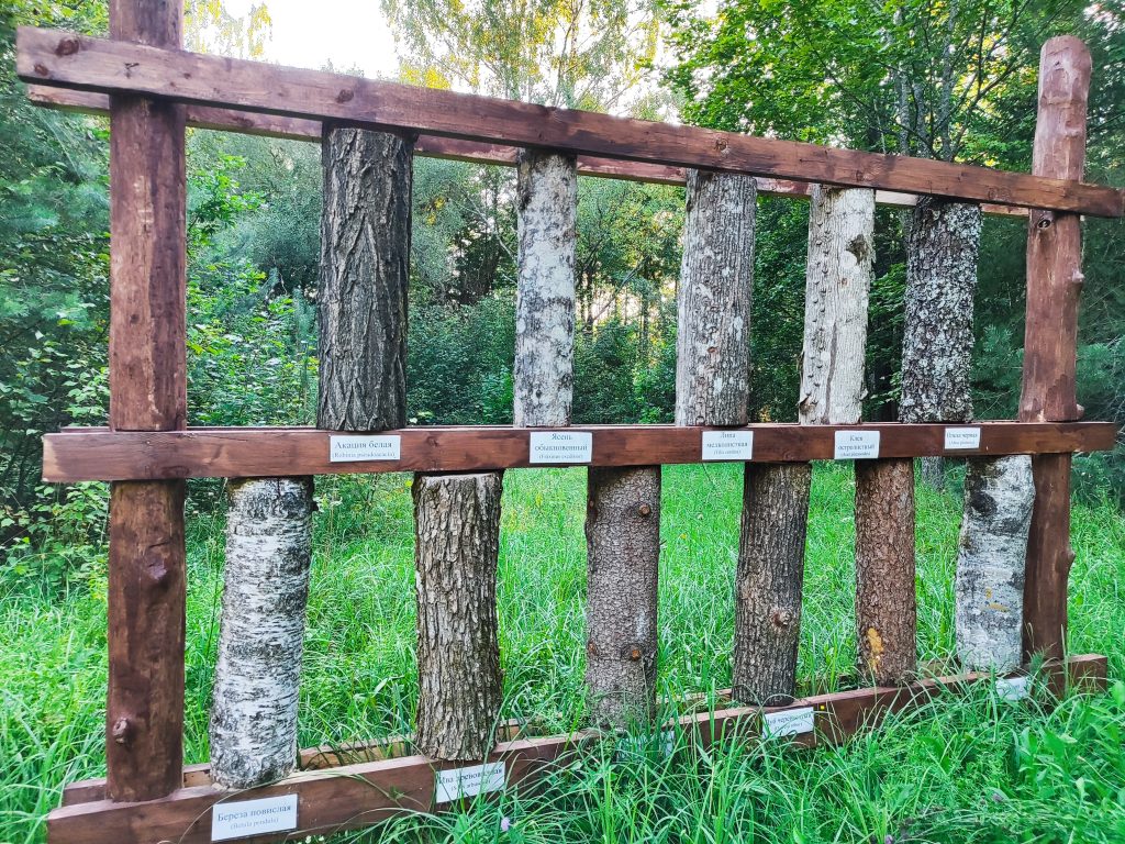 Экологическая тропа в гостях у Леса 19