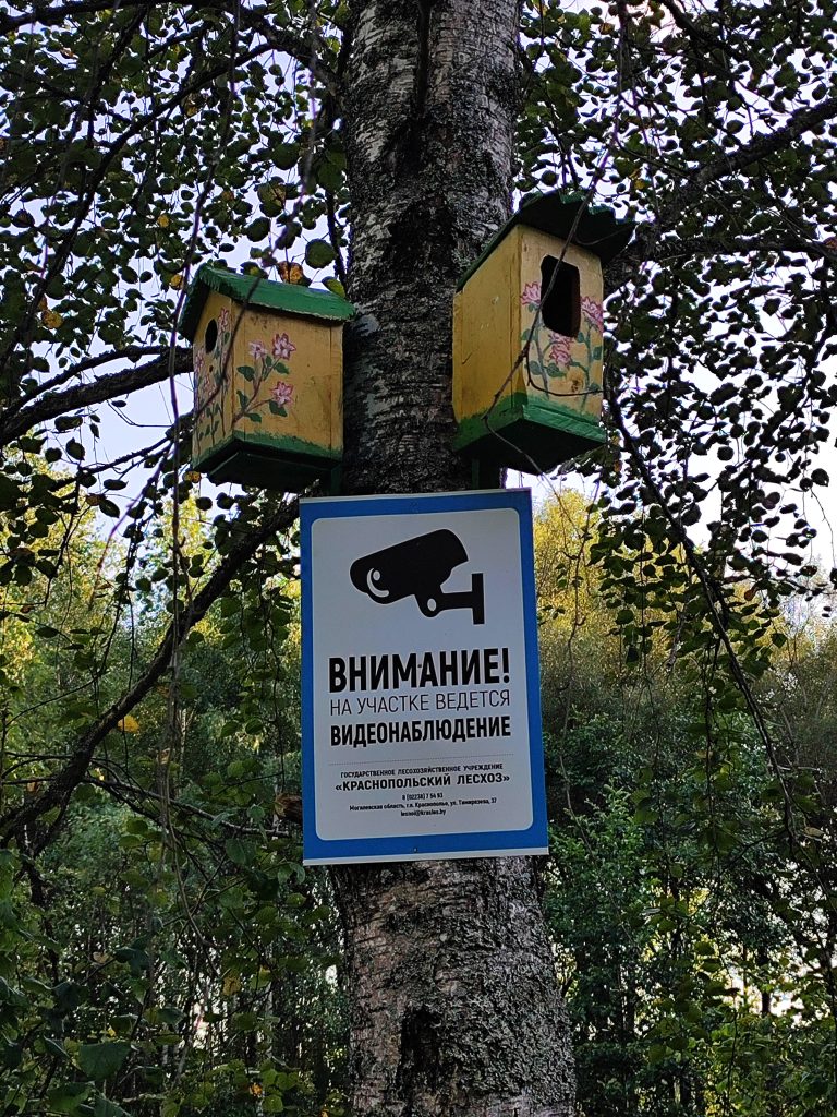 Экологическая тропа в гостях у Леса 22