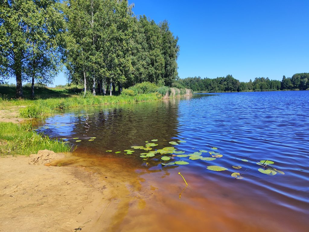 пляж города Хотимск Беларусь 6