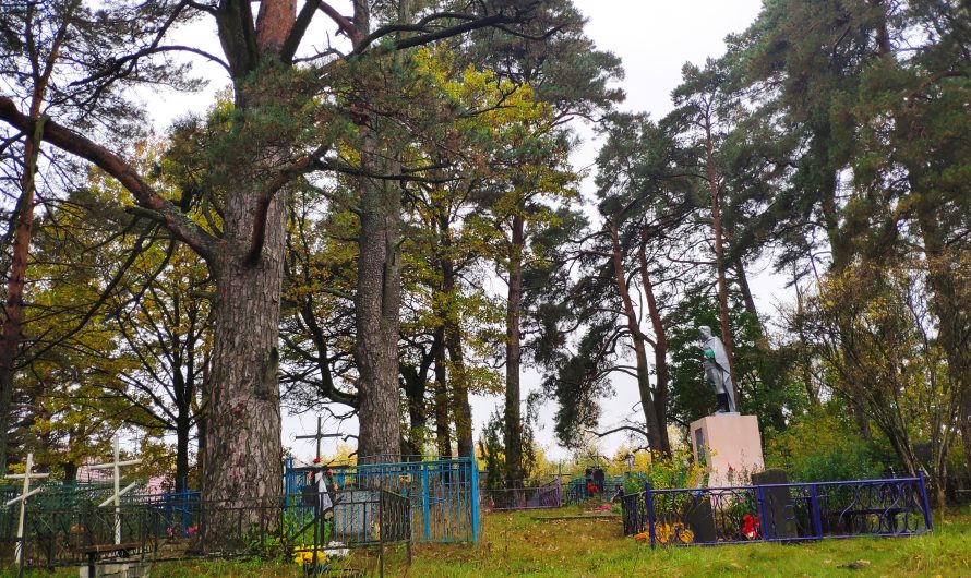 Братская могила 125 советских воинов погибших при освобождении деревни Харитоновка. Старинные Сосны. Харитоновка.
