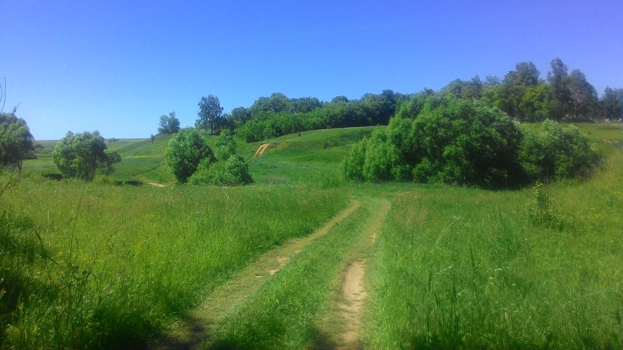 Село Баклань. Брянская область село Баклань. Село Баклань фото.