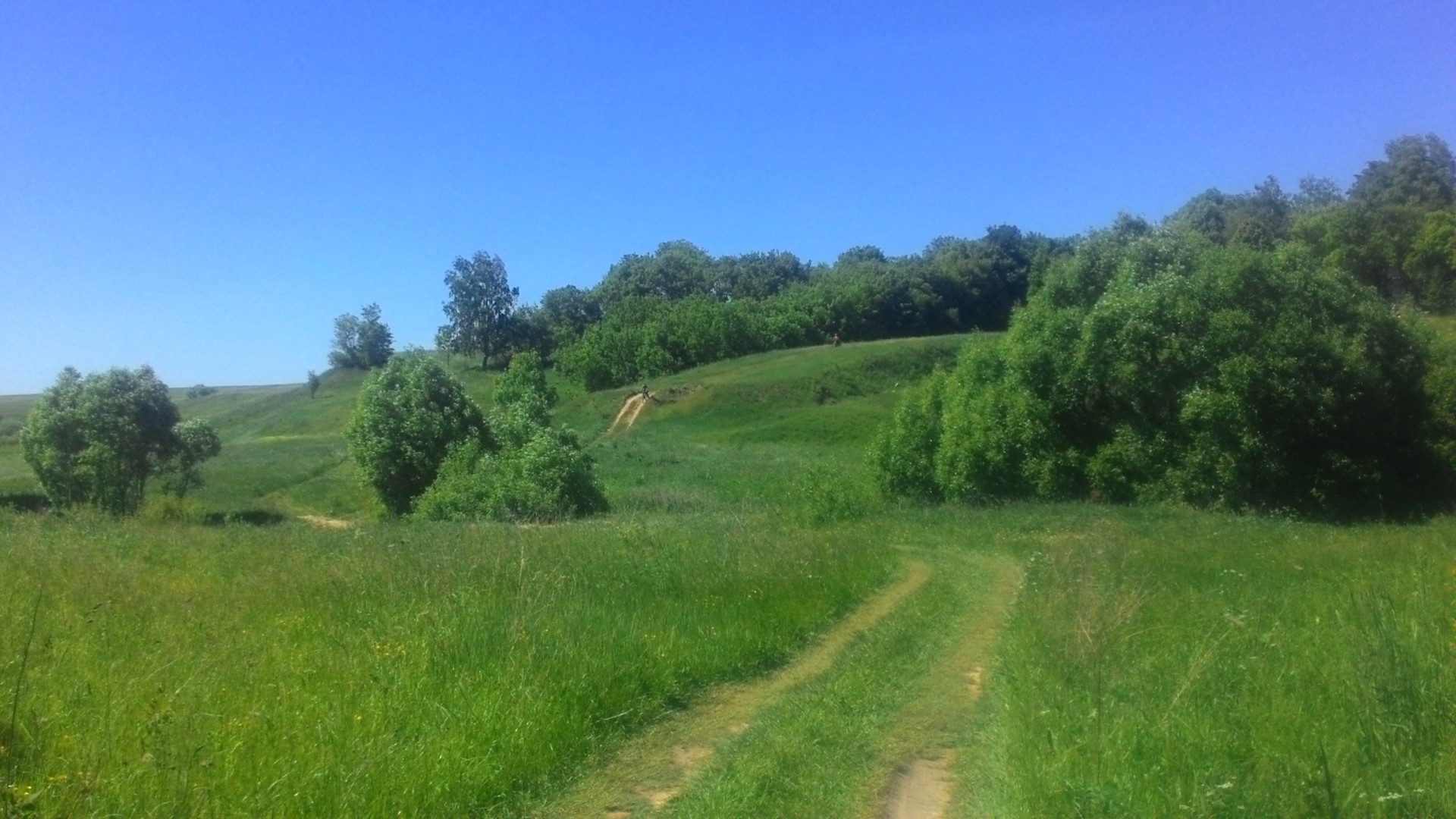 Село баклани. Природа Брянской области. Село Баклань. Брянская область село Баклань. Село Баклань фото.