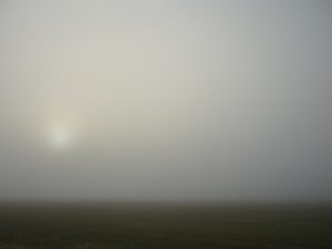 Солнце в тумане