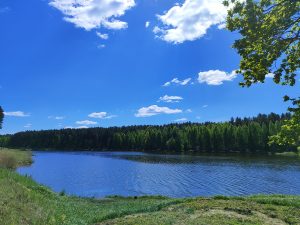 русло реки Вепринка рыбное хозяйство фото 1