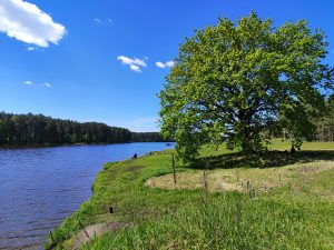 русло реки Вепринка рыбное хозяйство фото 4