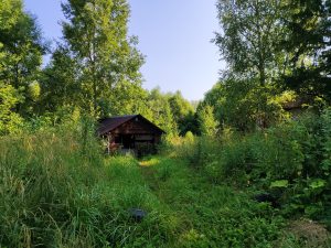 Святой Источник Села Гордеевка Брянской области фото 1