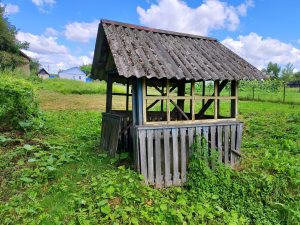 Родник Смотрова Буда