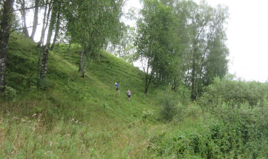 Городище Заруб над Десной. Осовик.