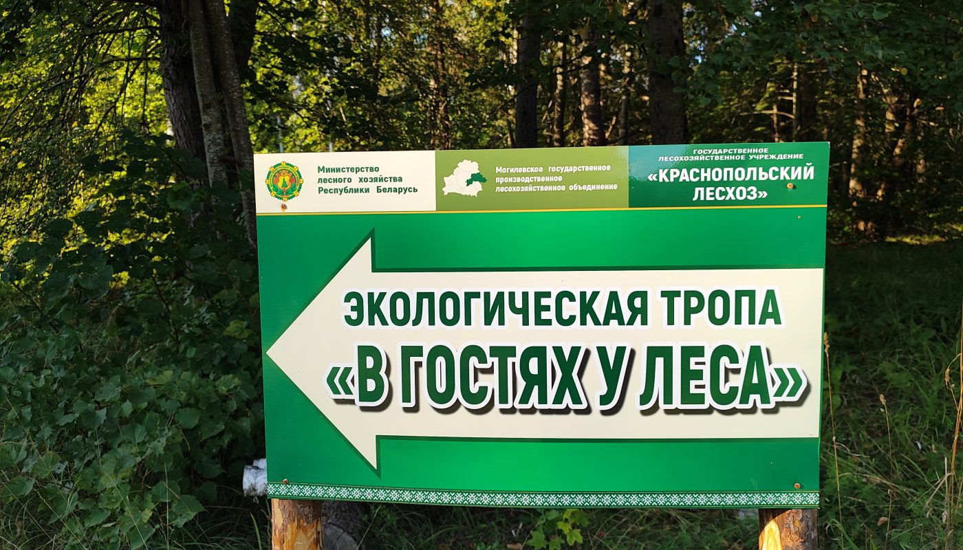 Экологическая тропа в гостях у Леса 13