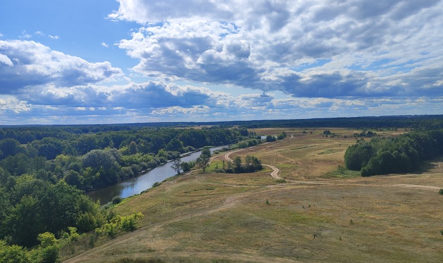 Древнее Городище «Дядьева Гора». Влазовичи — Красная Слобода
